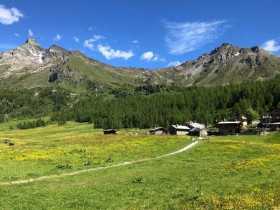 Immagine descrittiva per percorso