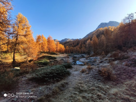 Immagine descrittiva per percorso