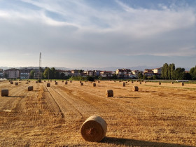 Immagine descrittiva per percorso