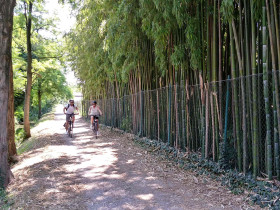 Immagine descrittiva per percorso