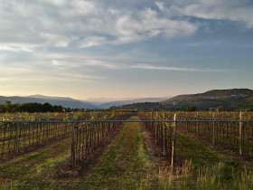 Immagine descrittiva per percorso