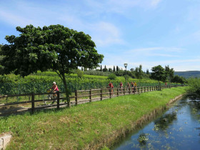 Immagine descrittiva per percorso