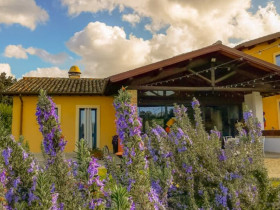 Immagine descrittiva per percorso