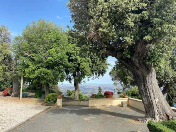 Immagine descrittiva per percorso