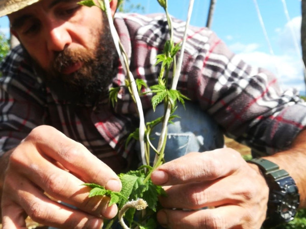 Immagine descrittiva per percorso