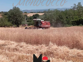 Immagine descrittiva per percorso