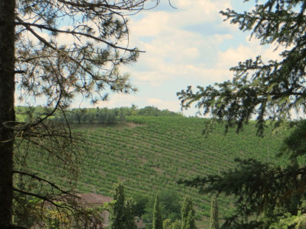 Immagine descrittiva per percorso