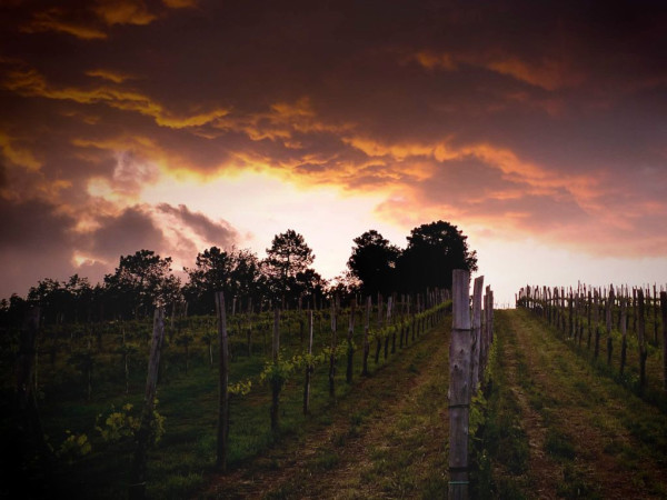 Immagine descrittiva per percorso