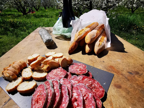 Immagine descrittiva per percorso