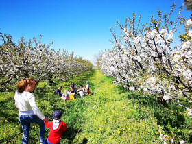 Immagine descrittiva per percorso