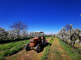 Immagine descrittiva per percorso