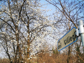 Immagine descrittiva per percorso