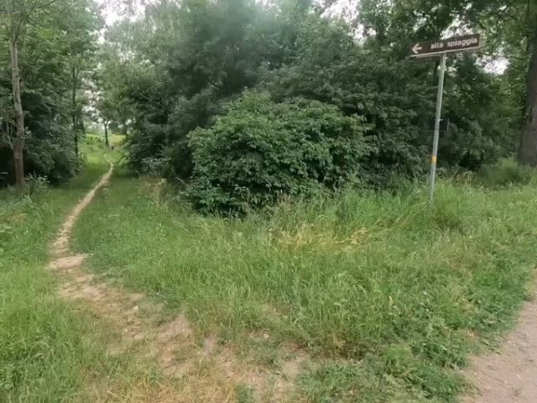 Immagine descrittiva per percorso