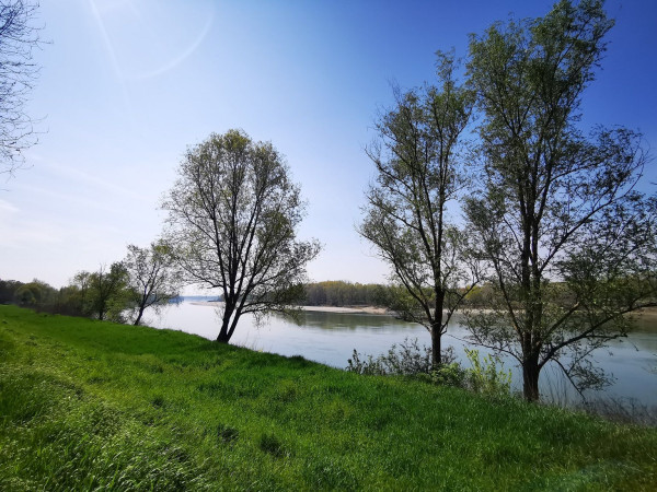 Immagine descrittiva per percorso