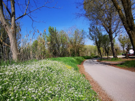 Immagine descrittiva per percorso