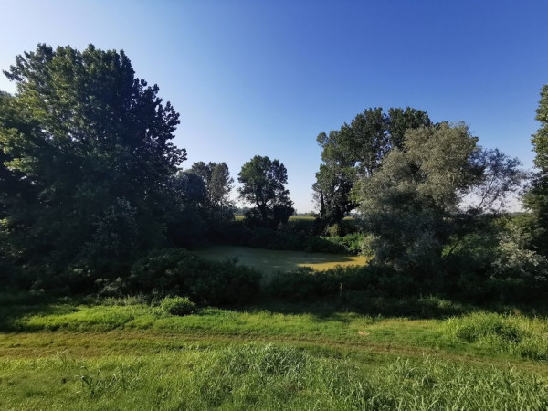 Immagine descrittiva per percorso