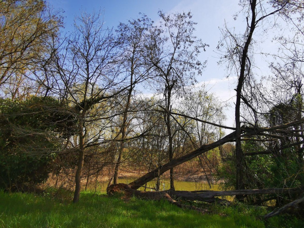 Immagine descrittiva per percorso