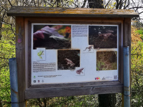 Immagine descrittiva per percorso