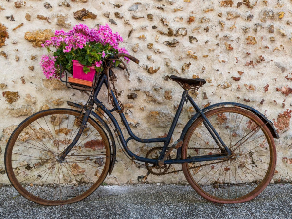 Immagine descrittiva per percorso