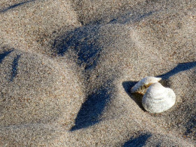 Immagine descrittiva per percorso