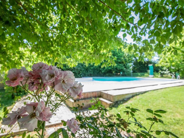 Immagine descrittiva per percorso