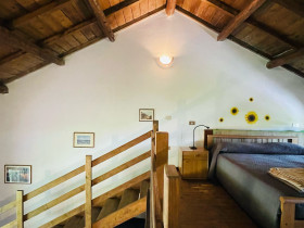 Immagine descrittiva per percorso