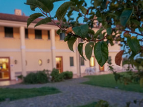 Immagine descrittiva per percorso