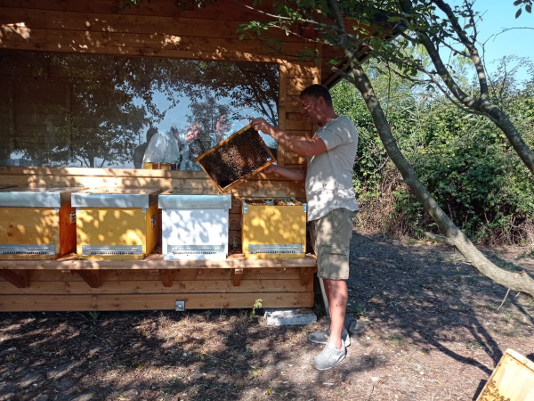 Immagine descrittiva per percorso