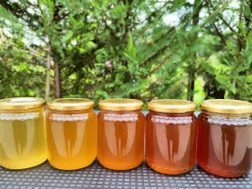 Immagine descrittiva per percorso