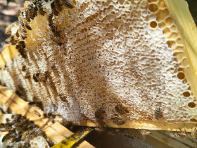 Immagine descrittiva per percorso