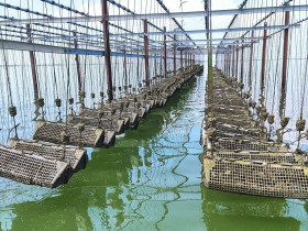 Immagine descrittiva per percorso