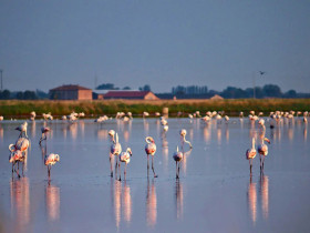 Immagine descrittiva per percorso