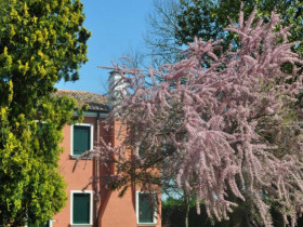 Immagine descrittiva per percorso