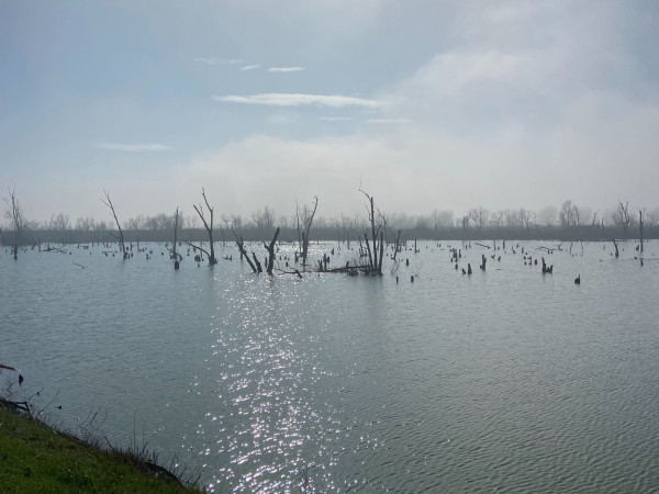 Immagine descrittiva per percorso