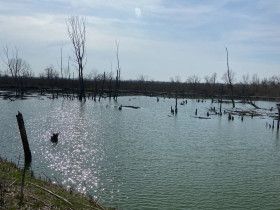 Immagine descrittiva per percorso