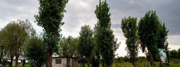 Immagine descrittiva per percorso