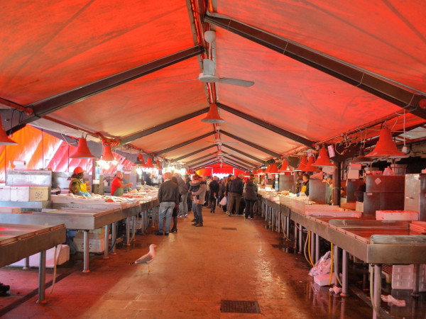 Immagine descrittiva per percorso