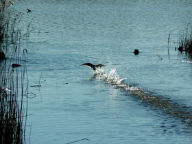 Immagine descrittiva per percorso