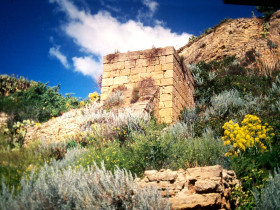 Immagine descrittiva per percorso