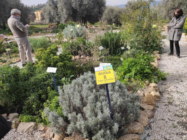 Immagine descrittiva per percorso