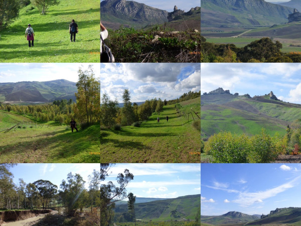 Immagine descrittiva per percorso