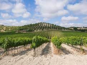 Immagine descrittiva per percorso