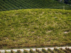 Immagine descrittiva per percorso