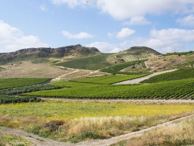 Immagine descrittiva per percorso