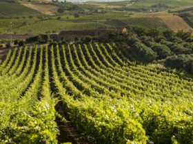 Immagine descrittiva per percorso