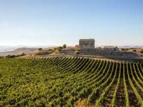 Immagine descrittiva per percorso