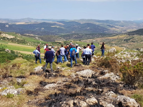 Immagine descrittiva per percorso