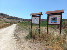 Immagine descrittiva per percorso