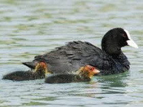 Immagine descrittiva per percorso