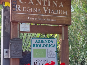 Immagine descrittiva per percorso